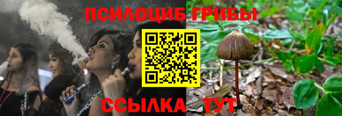 Галлюциногенные грибы мицелий  Галлюциногенные грибы Cubensis  Ахтубинск  Вход с VPN 